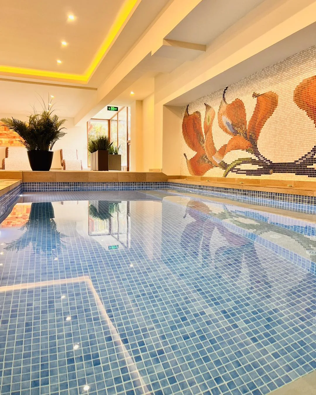 ArdoVel Park Hotel